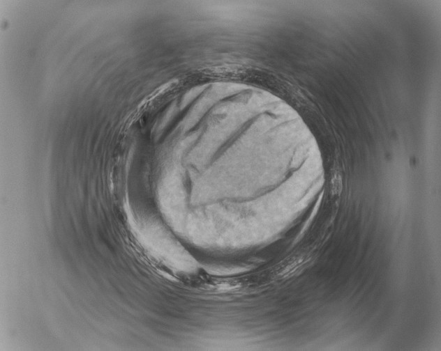 X0000053081156200508081238