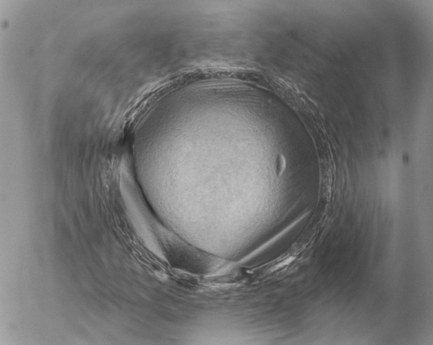 X0000053081157200508081238