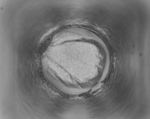 X0000053081159200508081238