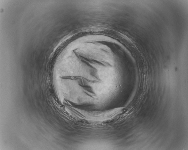 X0000053081160200508081238