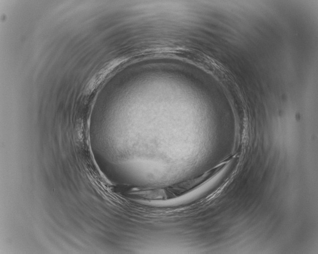 X0000053081161200508081238