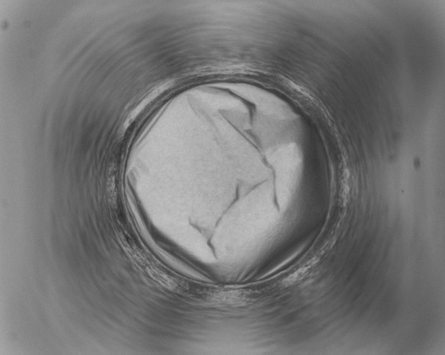 X0000053081162200508081238