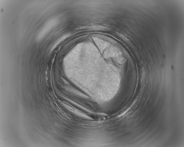 X0000053081163200508081238