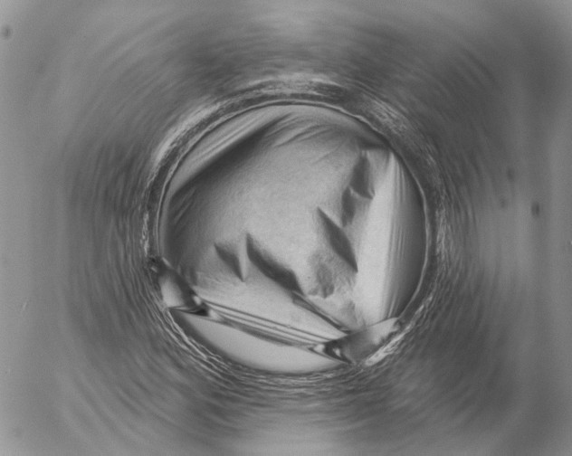 X0000053081164200508081238