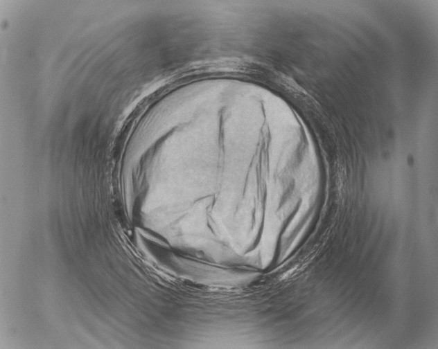 X0000053081166200508081238