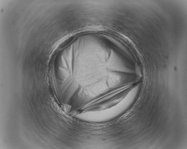 X0000053081168200508081238