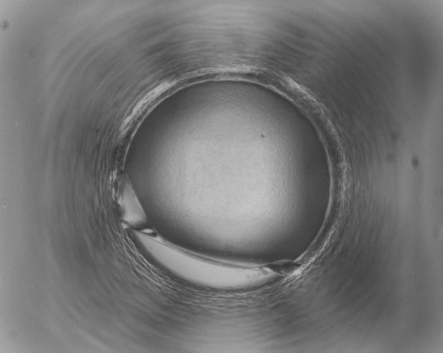 X0000053081169200508081238