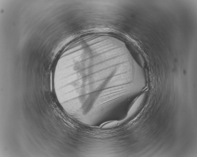 X0000053081171200508081238