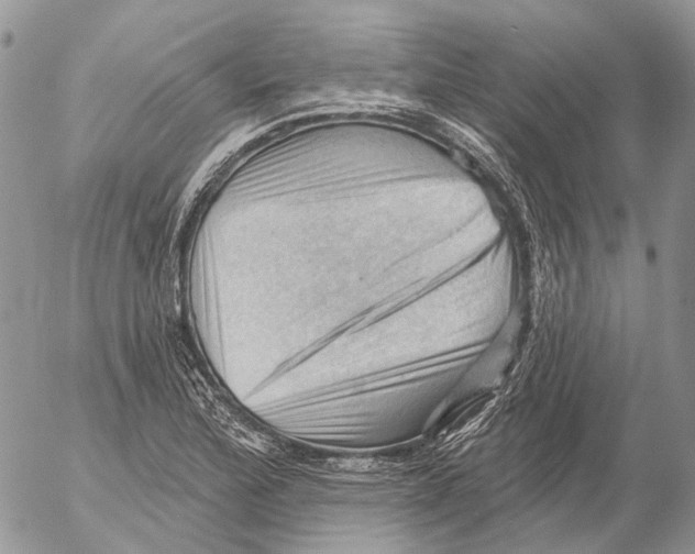 X0000053081172200508081238