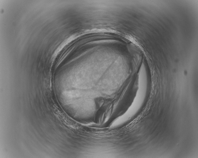 X0000053081173200508081238