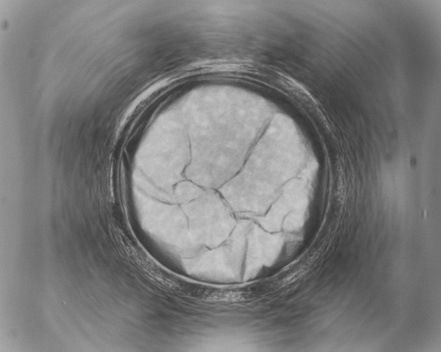 X0000053081174200508081238