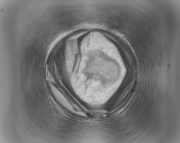 X0000053081175200508081238