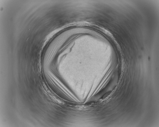 X0000053081176200508081238