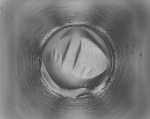 X0000053081177200508081238