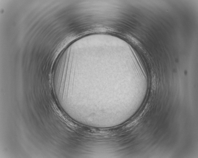 X0000053081178200508081237