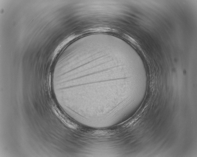 X0000053081179200508081237