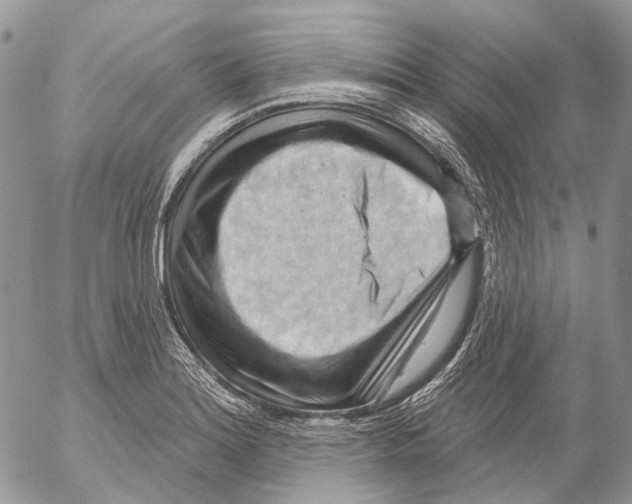 X0000053081180200508081237