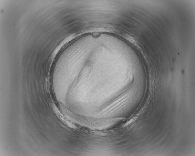 X0000053081181200508081237