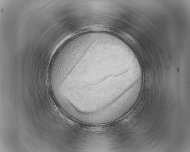 X0000053081182200508081237