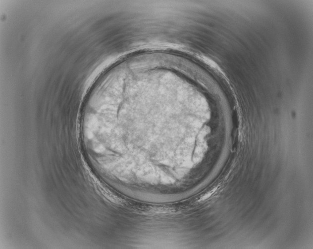 X0000053081183200508081237