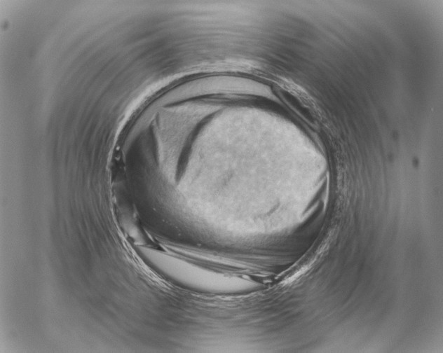 X0000053081184200508081237