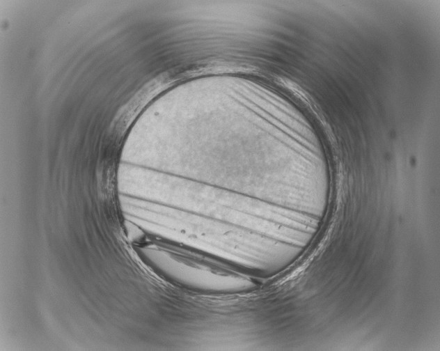 X0000053081185200508081237