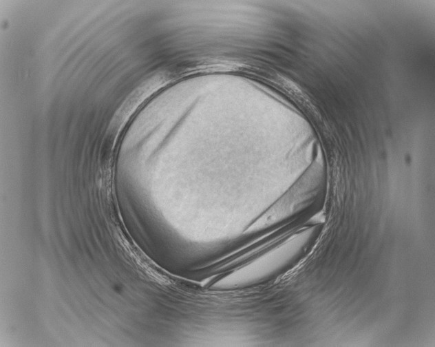 X0000053081186200508081237