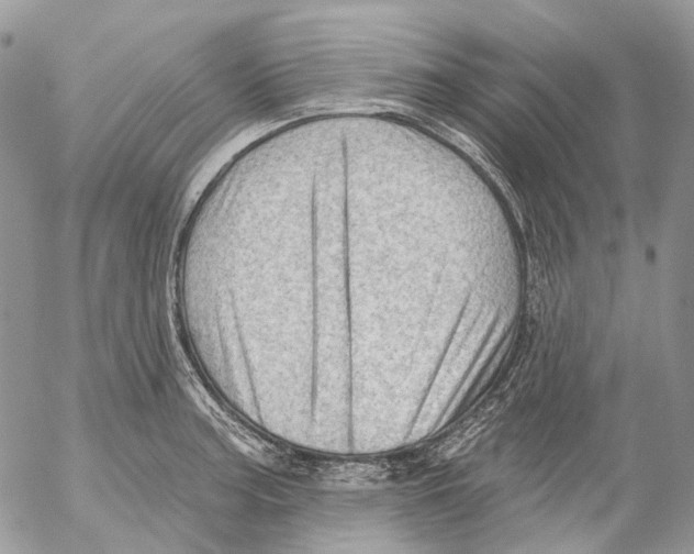 X0000053081187200508081237