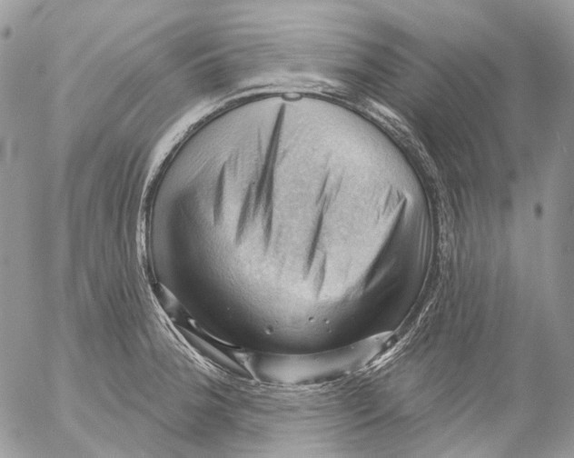 X0000053081188200508081237