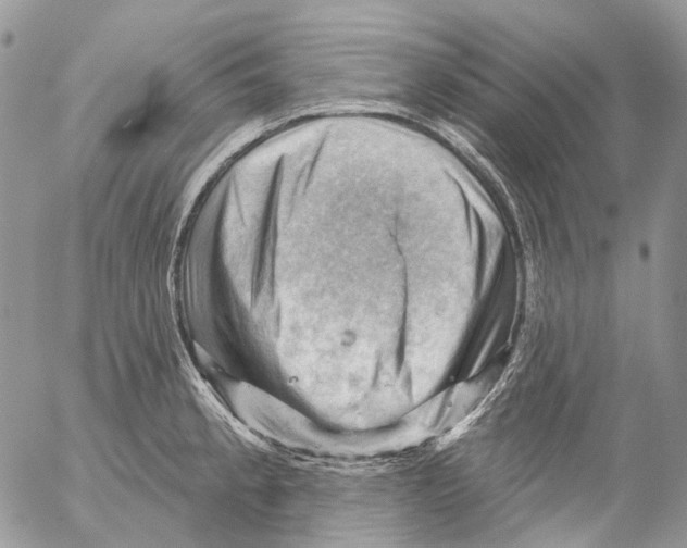 X0000053081189200508081237