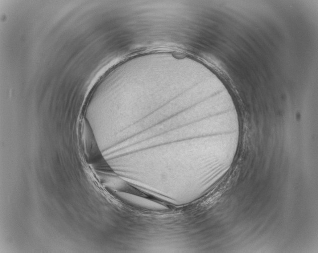 X0000053081190200508081237