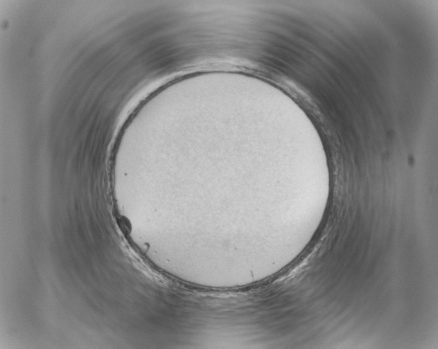 X0000053081192200508081237