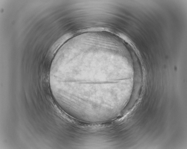 X0000053081193200508081237