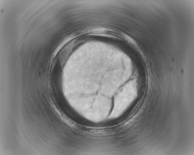 X0000053081194200508081237