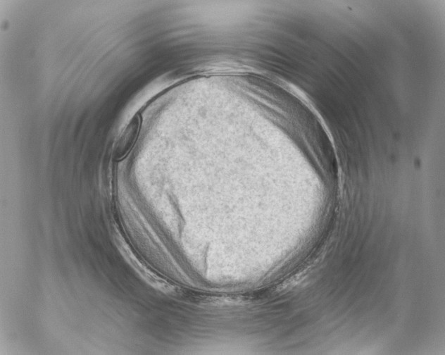 X0000053081195200508081237