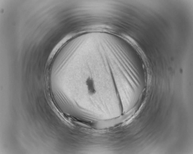 X0000053081196200508081237