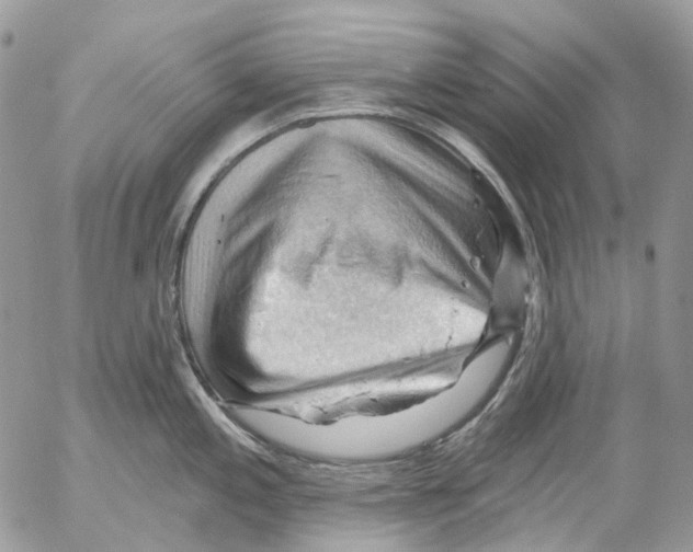 X0000053081197200508081237