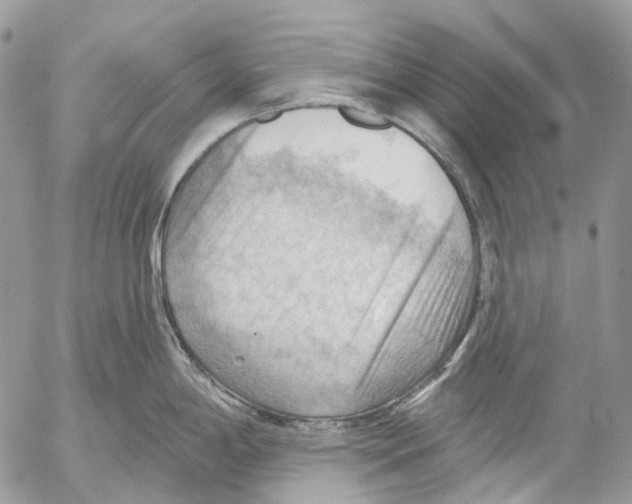 X0000053081198200508081237