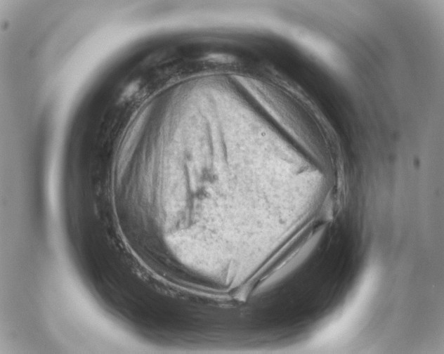 X0000053081199200508081237