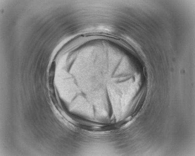 X0000053081200200508081237