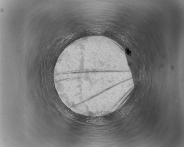 X0000053081201200508081236