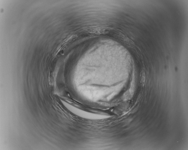 X0000053081202200508081236