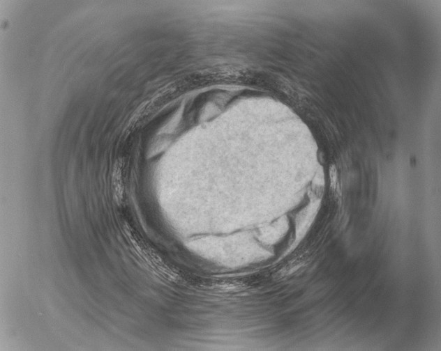 X0000053081203200508081236