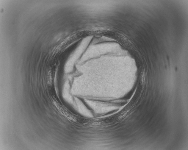 X0000053081204200508081236