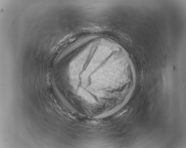 X0000053081205200508081236