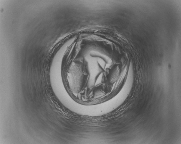 X0000053081206200508081236