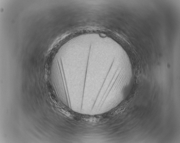 X0000053081207200508081236