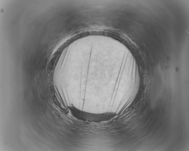 X0000053081208200508081236