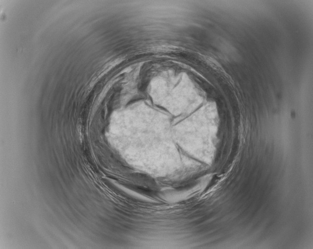 X0000053081209200508081236