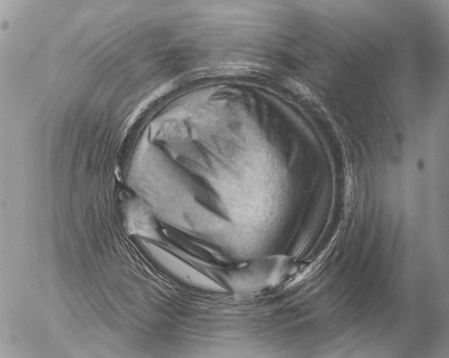 X0000053081210200508081236